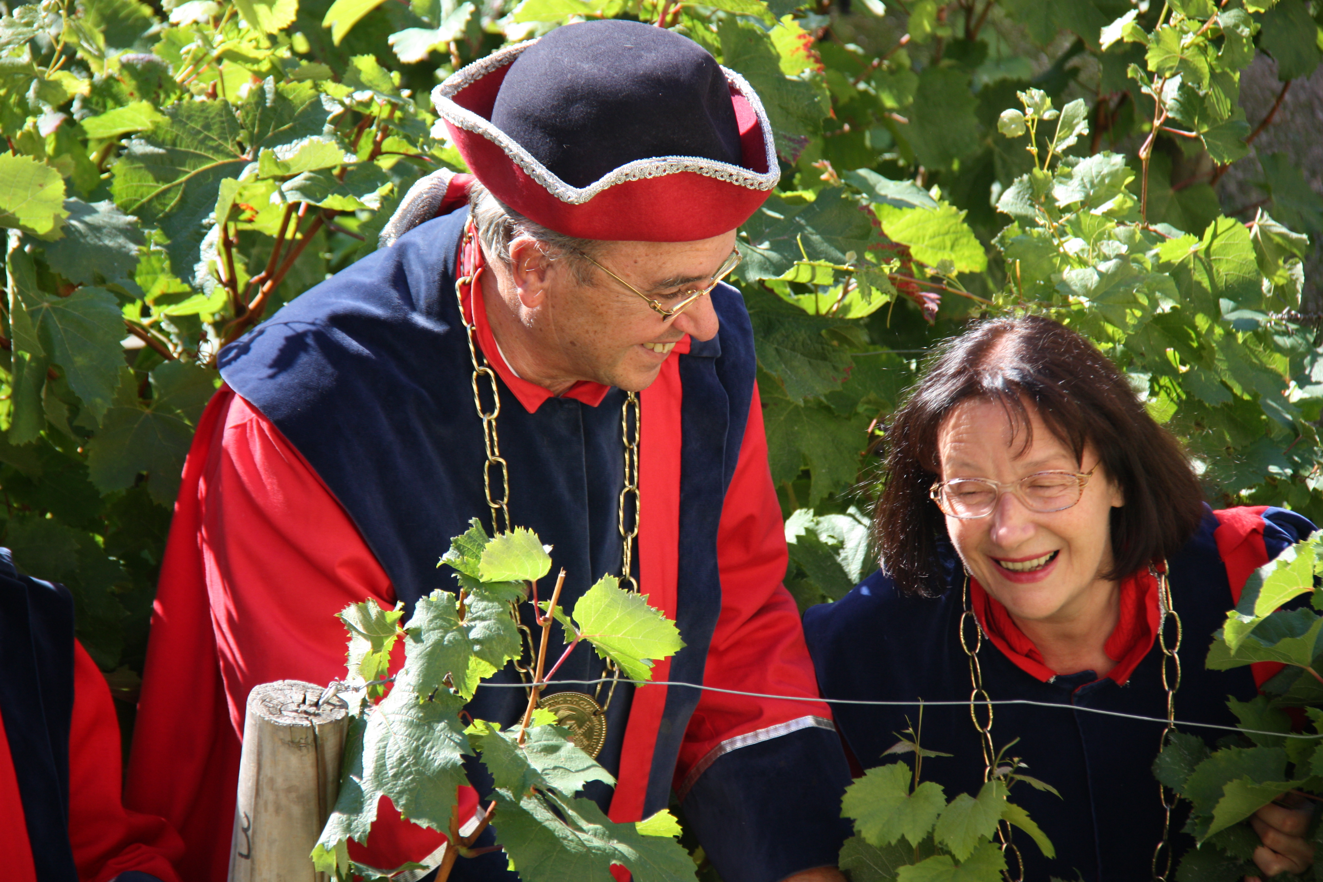 Photos Vendanges - 1er oct 2015 059