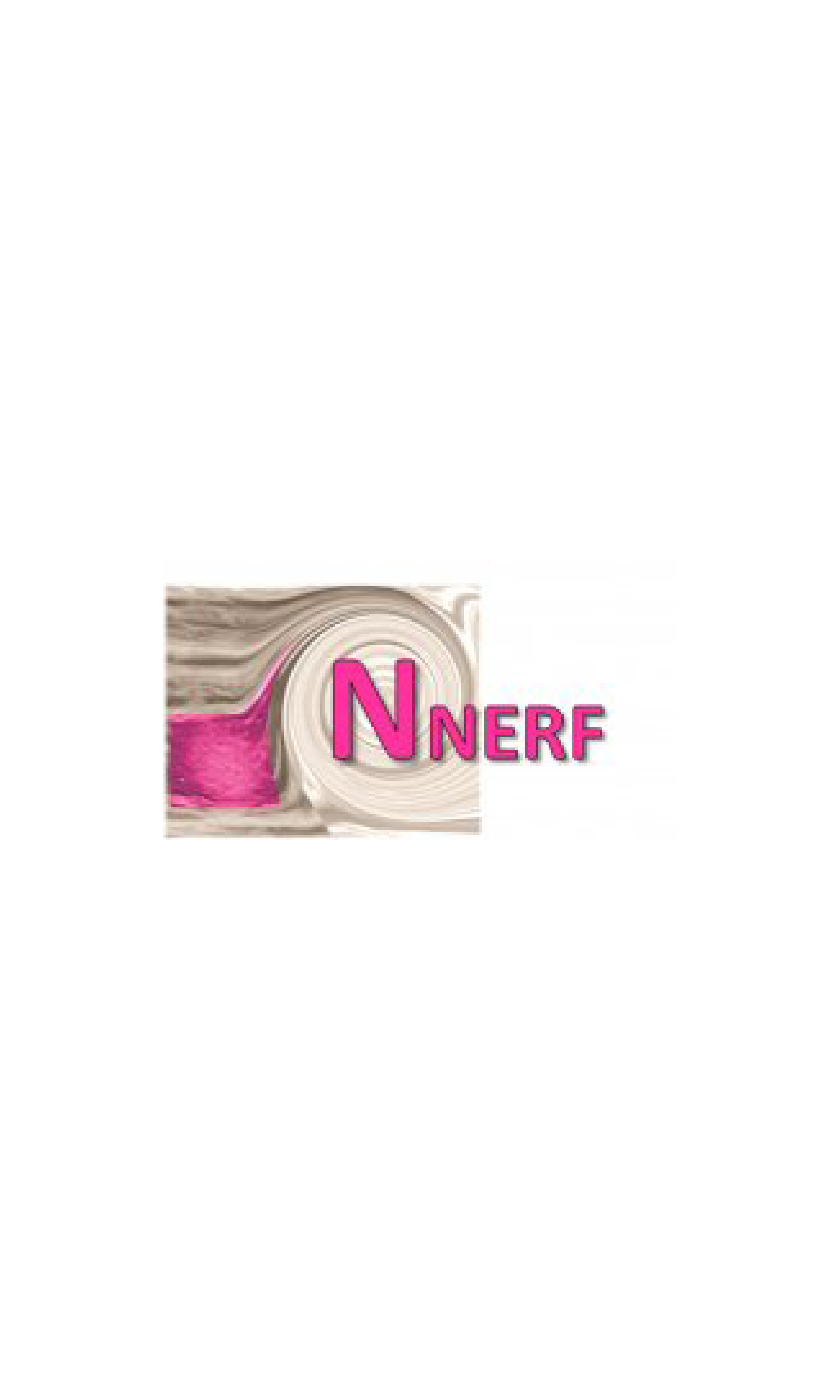 logo-Nnerf