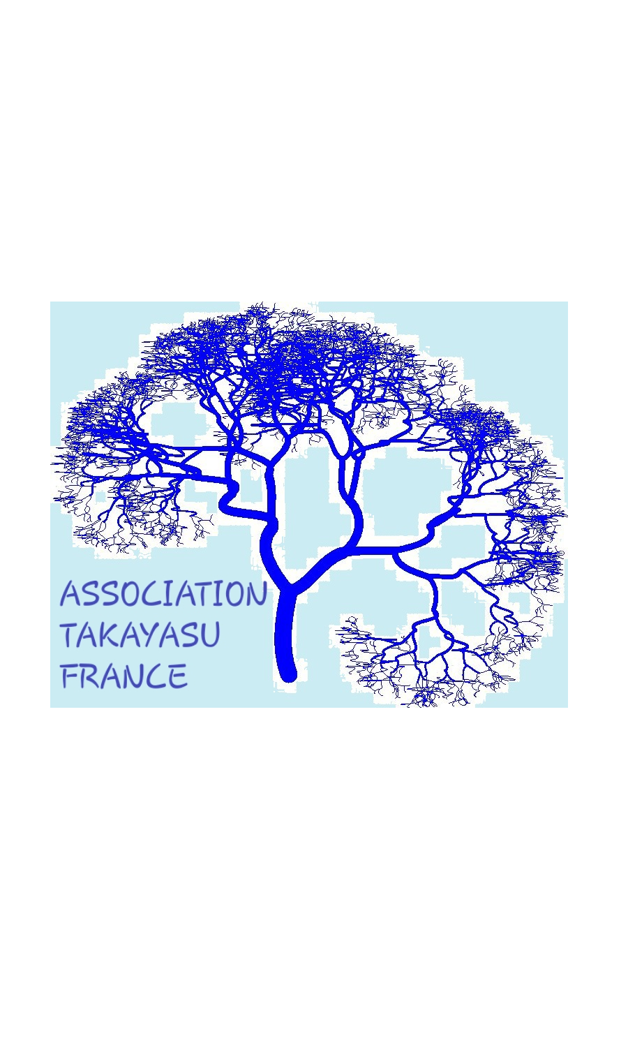 logo asso takayasu France