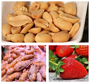 montage-allergènes-2