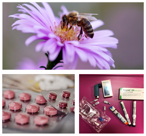 montage-allergènes-3