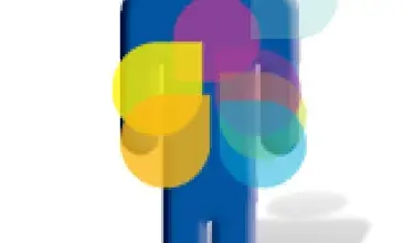 visuel-transplantation